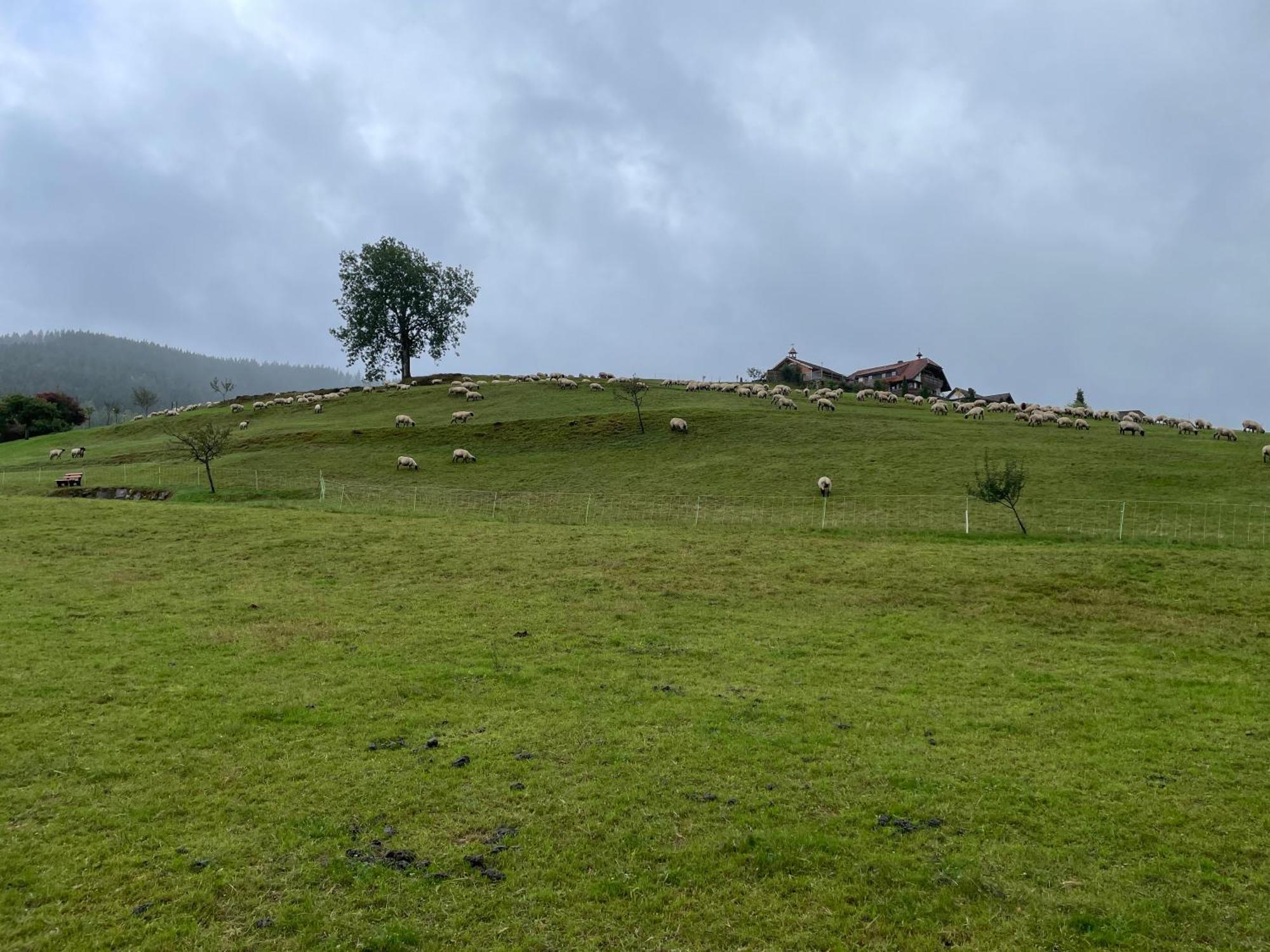 Am Baumgarten بيرسبرون المظهر الخارجي الصورة